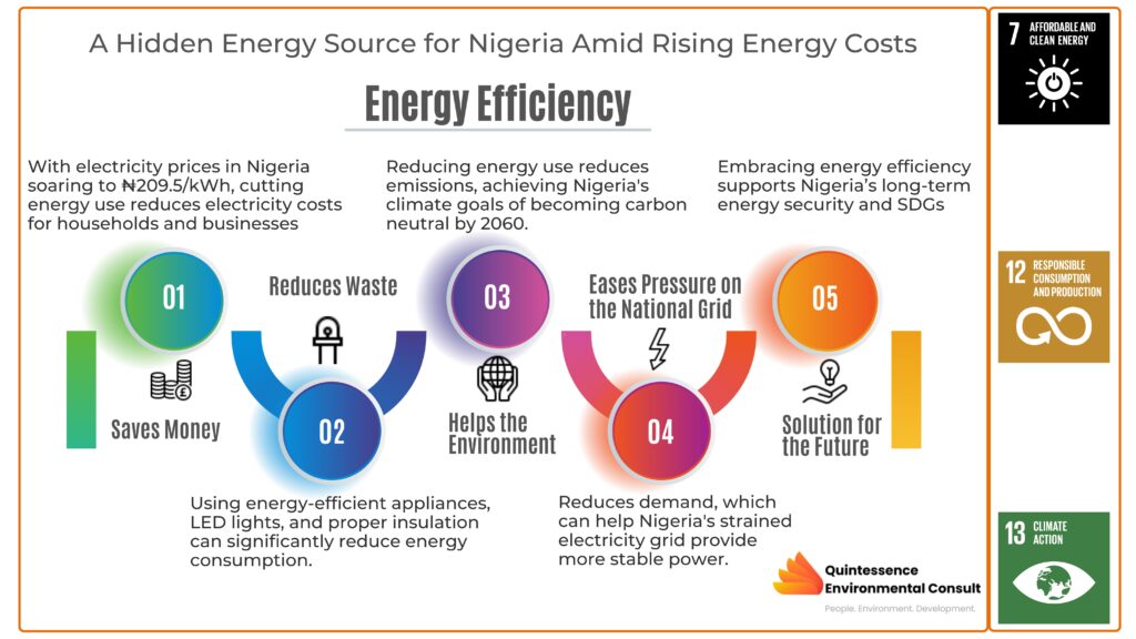 Energy Efficiency: A Hidden Energy Source for Nigerians Amid Rising Energy Costs