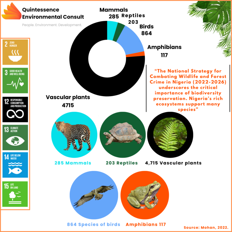 The Impact Of Deforestation On Nigeria’s Biodiversity: Causes And Consequences