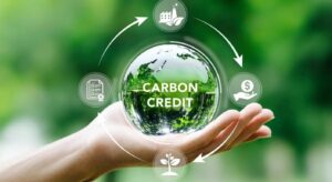 carbon credit