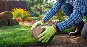 Urban Carbon Emmisions_lawn